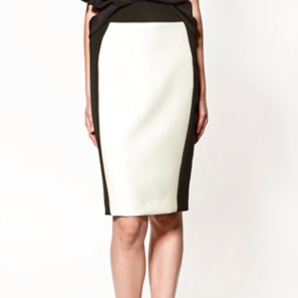 ZARA Basics Fully lined Black and White skirt